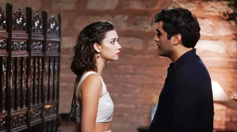 Yalı Çapkını Dizisinin Final Detayları Açıklandı: Seyran ve Ferit'in Kızı Dünyaya Geliyor!