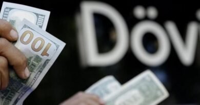 Merkez Bankası Duyurdu: Döviz Talebi Yeniden Yükseldi