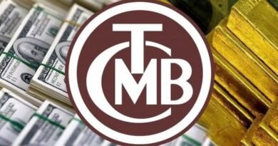 Merkez Bankası Rezervleri Zirve Noktasından Düşüş Gözlemlendi
