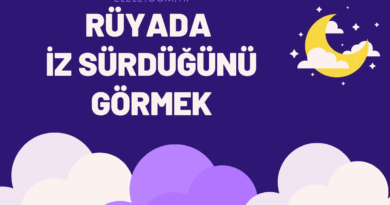Rüyada İz Peşinden Koşmak Ne Anlama Gelir?