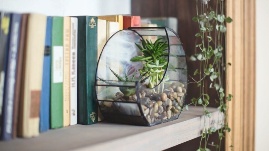 Feng Shui İpuçlarıyla Ev Havanızı Yenileyin