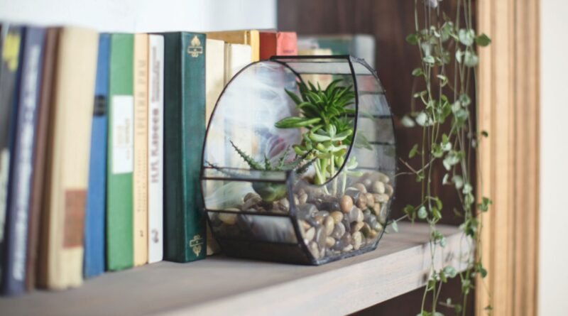 Feng Shui İpuçlarıyla Ev Havanızı Yenileyin