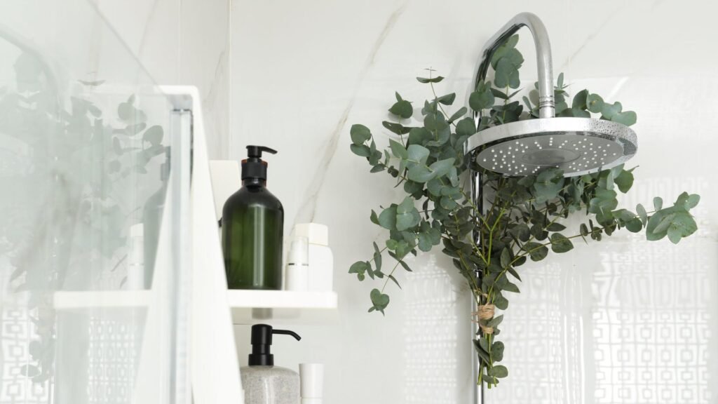 Eucalyptus Yağının Duşta Kullanımının Faydaları Nelerdir?