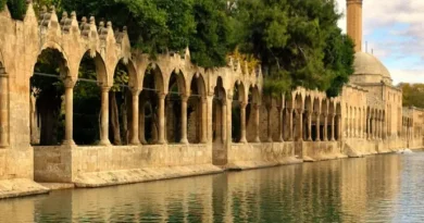 Balıklıgöl Hakkında Bilmeniz Gerekenler