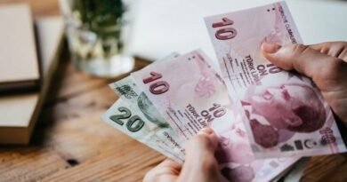 TL'nin Cazibesi Azaldı, Carry Trade İlgi Düşüşte