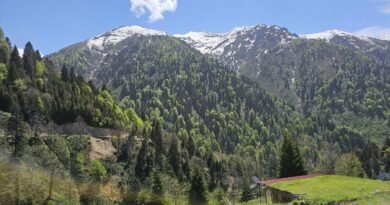 Doğa ile Bütünleşen Bir Atmosfer: Türkiye'nin Eşsiz Yaylaları