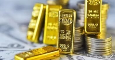 Ekonomistler açıkladı: Merkez Bankası rezervleri 1,3 milyar dolar yükseldi