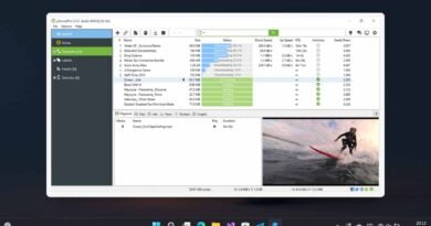 Windows İçin En İyi Ücretsiz Torrent Uygulamaları
