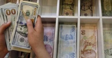 Dolarizasyonda Son İki Ayın En Büyük Artışı