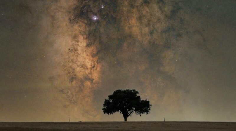 Haftalık Burç Yorumları (30 Haziran - 6 Temmuz 2025)