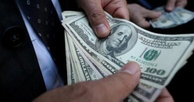 ING, Yıl Sonu Dolar/TL Tahminini Sabit Tutuyor