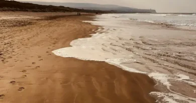 Mavi Bayraklı Plajın Anlamı Nedir?
