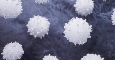 NEU (Nötrofil) Nedir? NEU Yüksekliği ve Düşüklüğü Hakkında Bilgi