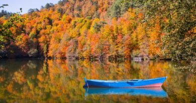 Bolu'da Neler Yenilir? Bolu’nun En İyi Restoranları