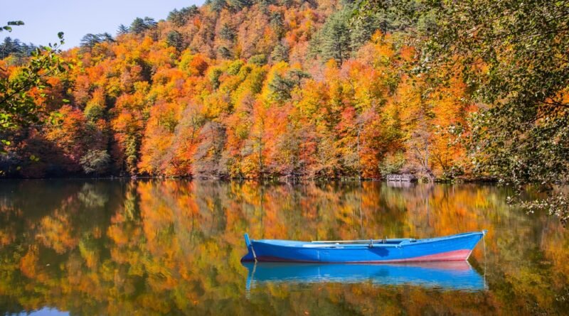 Bolu'da Neler Yenilir? Bolu’nun En İyi Restoranları