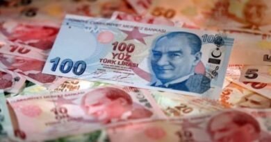 TL'nin Reel Değeri Mayıs'ta Düşüş Gösterdi