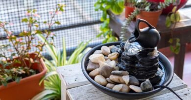 Feng Shui'ye Göre Balkon ve Teras Nasıl Düzenlenmeli?