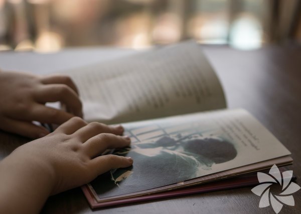 Çocukların Kitap Okuma Alışkanlığını Geliştirmek İçin Neler Yapılabilir? | Anne