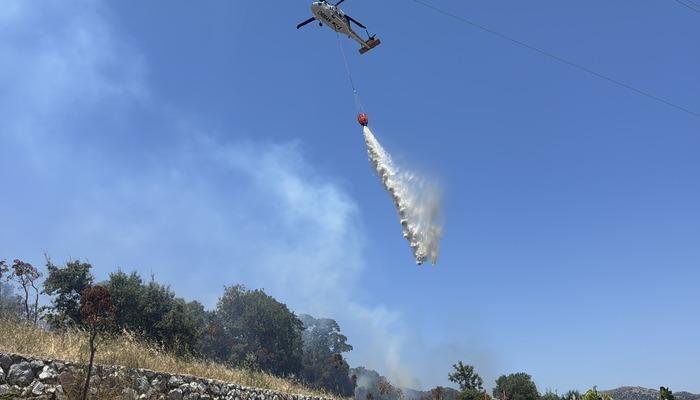 Bodrum'daki tarım ve mera alanında çıkan yangın kontrol altına alındı