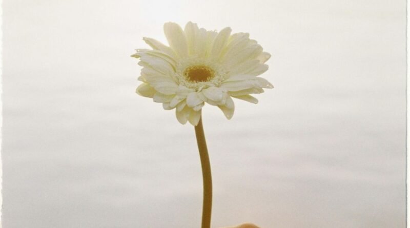 Haftalık Astroloji Yorumları (7-13 Temmuz 2025)