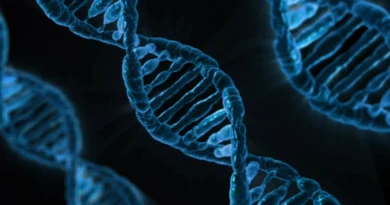 İnsanlığın DNA Kodu Nasıl Keşfedildi?