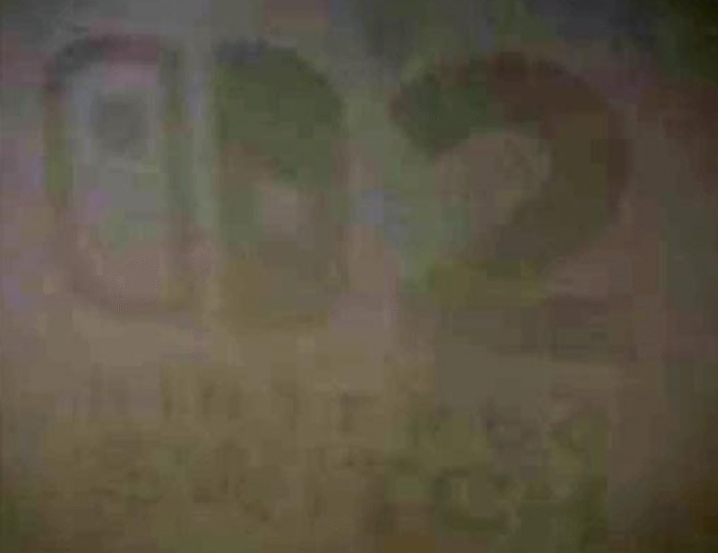 Nintendo Switch 2 Logosu Ortaya Çıktı!