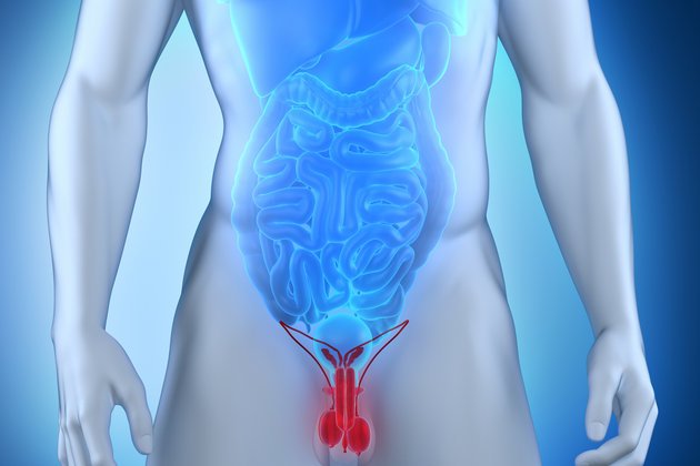 Testis Kanseri: Belirtiler, Tanı Süreci ve Tedavi Yöntemleri