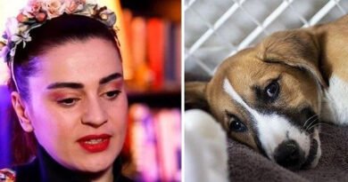 Mezarı Başında Ayrılmayan Köpek Sahiplendi!