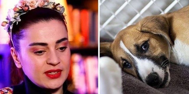 Mezarı Başında Ayrılmayan Köpek Sahiplendi!