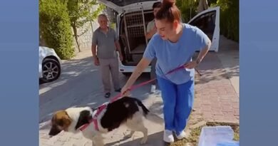 VEFALI KIZIMIZA KAVUŞTUK; ADINI HEVAL KOYDUM!