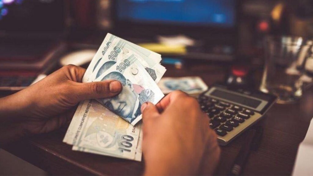 E-Devlet Üzerinden Vergi Borcu Sorgulama Nasıl Yapılır?