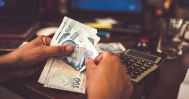 E-Devlet Üzerinden Vergi Borcu Sorgulama Nasıl Yapılır?
