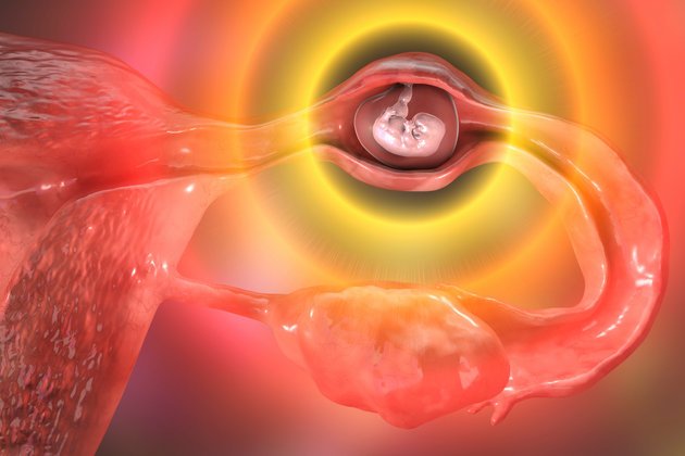 Dış Gebelik Nedir? Belirtileri Nelerdir?