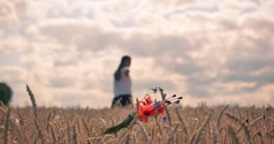 Nazikçe birini reddetmenin yolları | İlişki