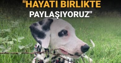 4 Ekim Hayvanları Koruma Günü Mesajları: "Mutlu anılarımız, yaşamın özünde ve doğanın her köşesinde onlarla dolu."