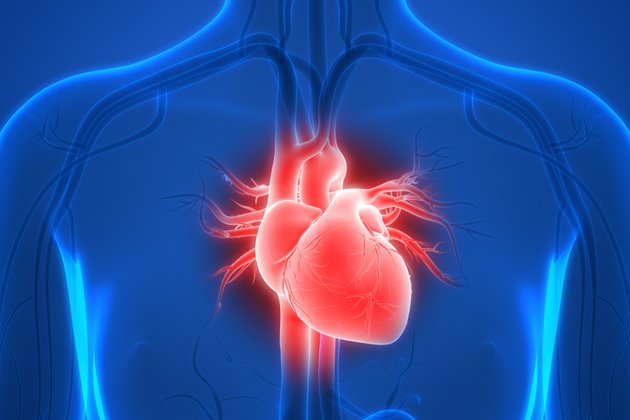 Akut Koroner Sendrom Nedir? Belirtileri ve Tedavi Yöntemleri