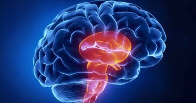 Beyin Sapı Tümörleri: Nedir ve Belirtileri Nelerdir?