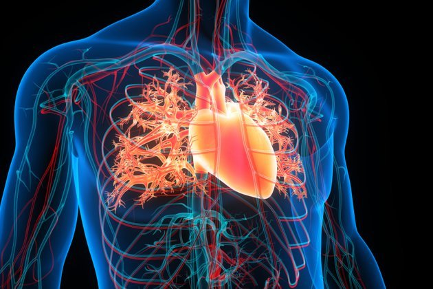 Hipertrofi Nedir? Belirtileri ve Tedavi Yöntemleri