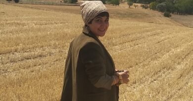 Okul Temelli Yaşam ve Kırsal Okullar Üzerine...