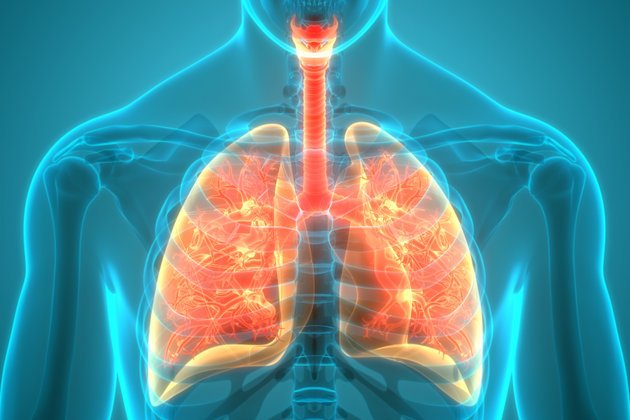 Superior Vena Cava Sendromu: Nedir, Belirtileri ve Tedavi Yöntemleri