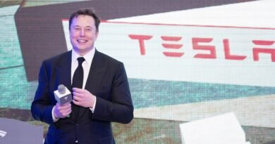 Tesla Hisse Fiyatı Ne Kadar? Güncel Durum