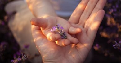 Bugün Küresel Çocuk Hakları Günü! | Ebeveyn