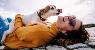 Köpeğinizi nasıl mutlu edebilirsiniz?