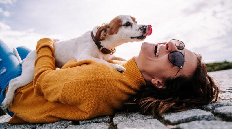 Köpeğinizi nasıl mutlu edebilirsiniz?