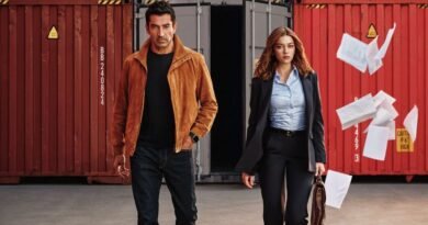 Kenan İmirzalıoğlu Cerrah, Afra Saraçoğlu Avukat: Abi Dizisinin Afişi Tanıtıldı