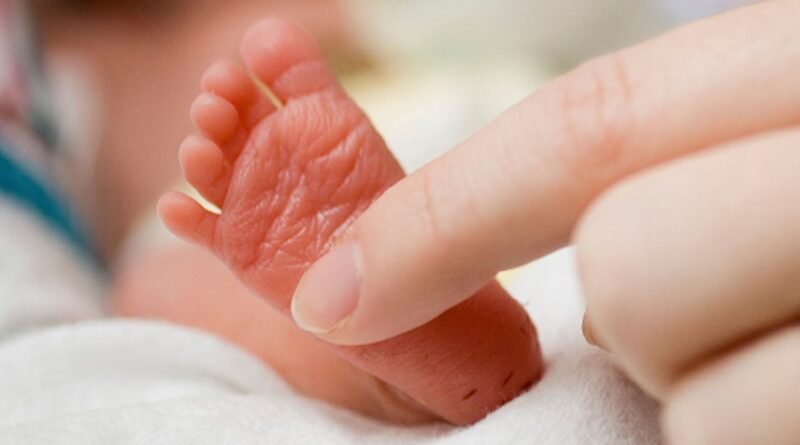 Prematüre Bebekler Hakkında Her Şey! | Anne Rehberi