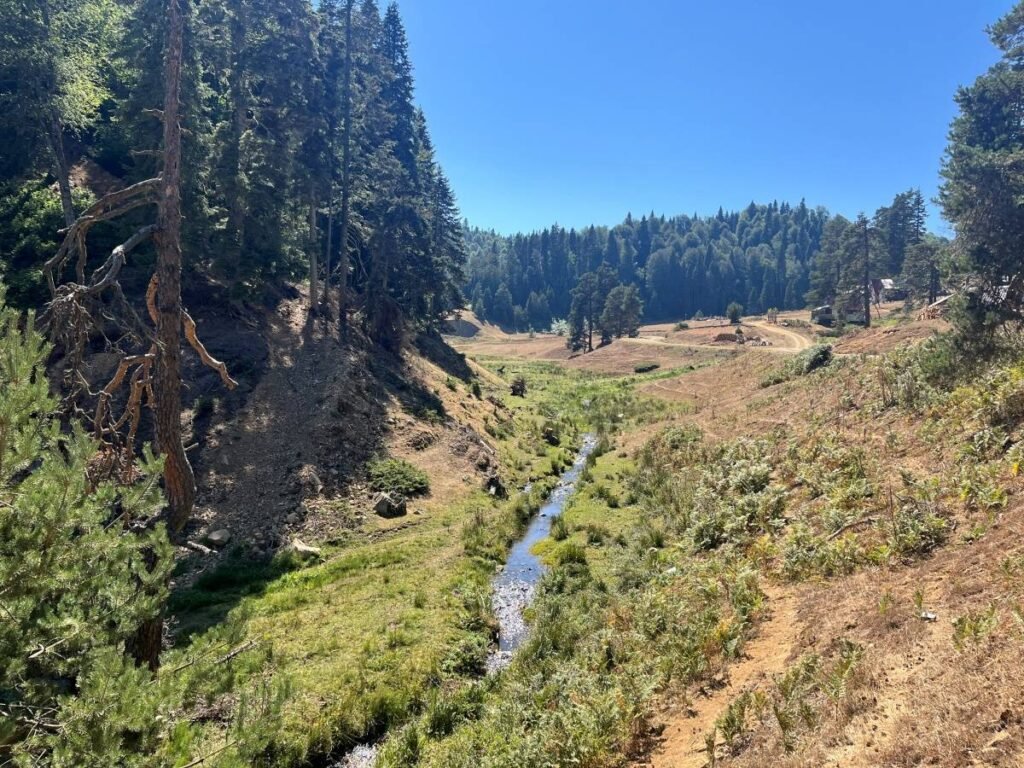 Batı Karadeniz'in Gözdesi: Düzce Gezilecek Yerler Rehberi