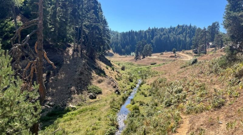 Batı Karadeniz'in Gözdesi: Düzce Gezilecek Yerler Rehberi