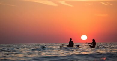 "Kuş Teorisi" Trendi: İlişkinizi Test Etmek Artık Daha Kolay!