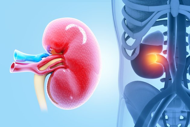 Wilms Tümörü (Nefroblastom) Nedir? Belirtileri ve Tedavi Yöntemleri